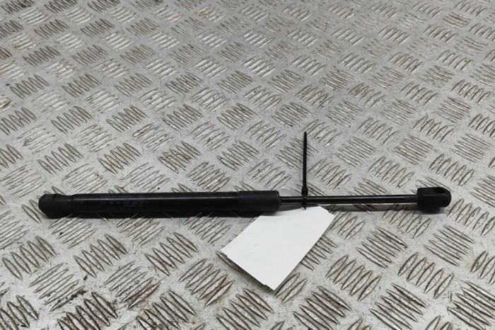 Amortizor capota st&acirc;nga față TESLA MODEL 3 2019 OEM: 1091472-00-B | 31400318