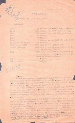 A3613N Situația aprovizionării județului Tecuci pe luna aprilie 1941 foto