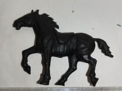 bnk jc Roche aus Fees Premiums - seria General Jackson - cal de cavalerie foto