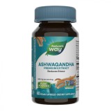 Ashwagandha SE Nature&#039;s Way, 500mg, 60 capsule, Secom