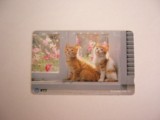 B11 70 - Carduri si cartele telefonice - Japonia - Pisici - piesa de colectie