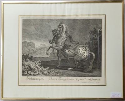 Johann Elias Ridinger (1698&amp;ndash;1767), Siebenburgen, Cheval Transilvanice - Gravura, Secol XIX foto