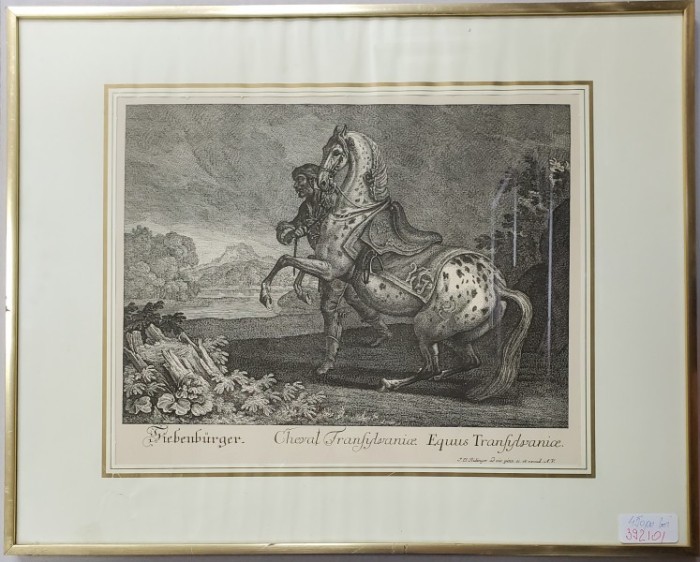 Johann Elias Ridinger (1698&ndash;1767), Siebenburgen, Cheval Transilvanice - Gravura, Secol XIX