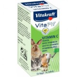 Cumpara ieftin Vitamine pentru rozatoare, Vitakraft Vitafit Vitamina C, 10 ml