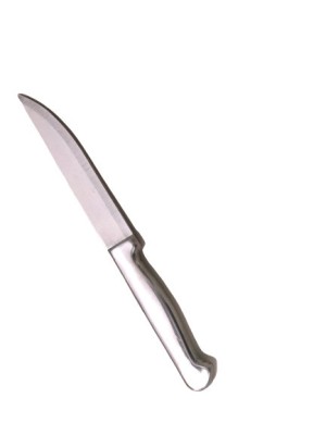 Cutit inox 22x1.5 cm foto
