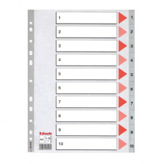 Index A4 Esselte, cu 10 Separatoare, Plastic, Gri, Index de Plastic 1-10 cu Separatoare, Index de Plastic Numerotat cu Separatoare, Index de la 1 la 1