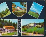CPI B12356 CARTE POSTALA - PREDEAL, MOZAIC, Circulata, Fotografie