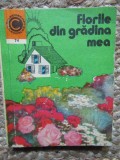 FLORILE DIN GRADINA MEA-ELENA SELARU