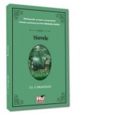 Puzzle 9 cuburi din lemn Pettson si Findus