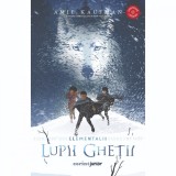 Elementalii, Lupii ghetii, Amie Kaufman, Vol. I