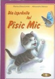 Din ispravile lui Pisic Mic - Alexandru Stanese, Florica Elena Lorint