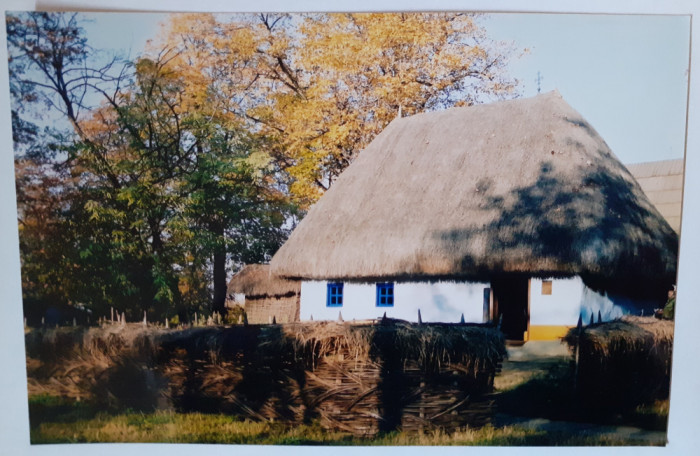 Fotografie cu casă 5