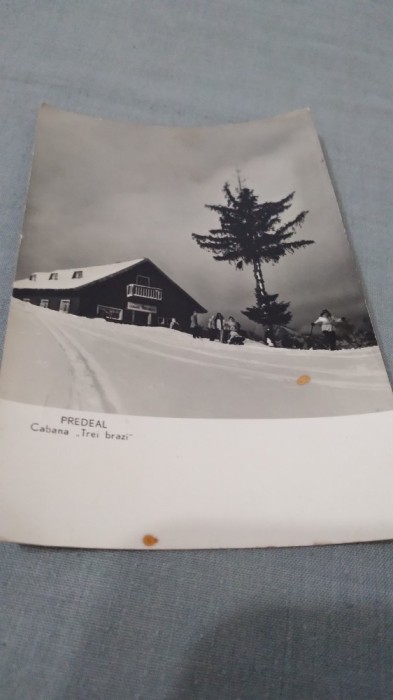 CARTE POSTALA PREDEAL -CABANA TREI BRAZI CIRCULATA
