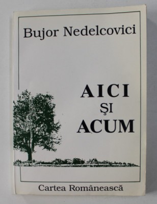 AICI SI ACUM de BUJOR NEDELCOVICI , 1996 , foto