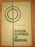 Imagine si simbol la Brancusi Adrian Petringenaru
