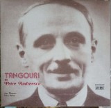 Disc vinil, LP. TANGOURI DE PETRE ANDREESCU-Petre Andreescu, Jean Paunescu, Doina Badea, Rock and Roll