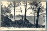 AD 47 C. P. VECHE -CARANTEC-FINISTERE - LE BOIS DE SAPINS, VUE SUR LA BAIE ..., Circulata, Franta, Printata