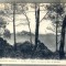 AD 47 C. P. VECHE -CARANTEC-FINISTERE - LE BOIS DE SAPINS, VUE SUR LA BAIE ...