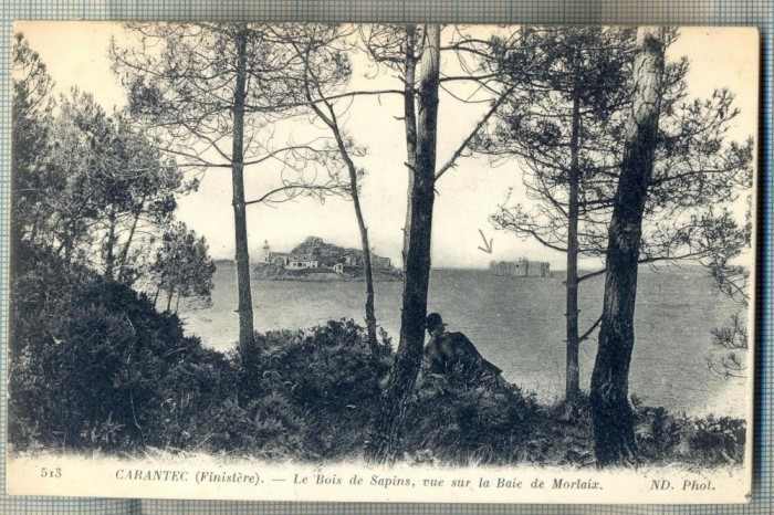 AD 47 C. P. VECHE -CARANTEC-FINISTERE - LE BOIS DE SAPINS, VUE SUR LA BAIE ...