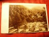 Ilustrata Baile Slanic Moldova - Parcul Nou si Mintele Dobru 1947 Ed. Albania, Necirculata, Fotografie