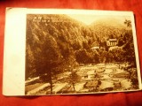 Ilustrata Baile Slanic Moldova - Parcul Nou si Mintele Dobru 1947 Ed. Albania