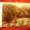 Ilustrata Baile Slanic Moldova - Parcul Nou si Mintele Dobru 1947 Ed. Albania