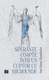 Sperante coapte intr-un cuptor cu microunde - Ana-Maria Manolache - Editura Creator-Libris