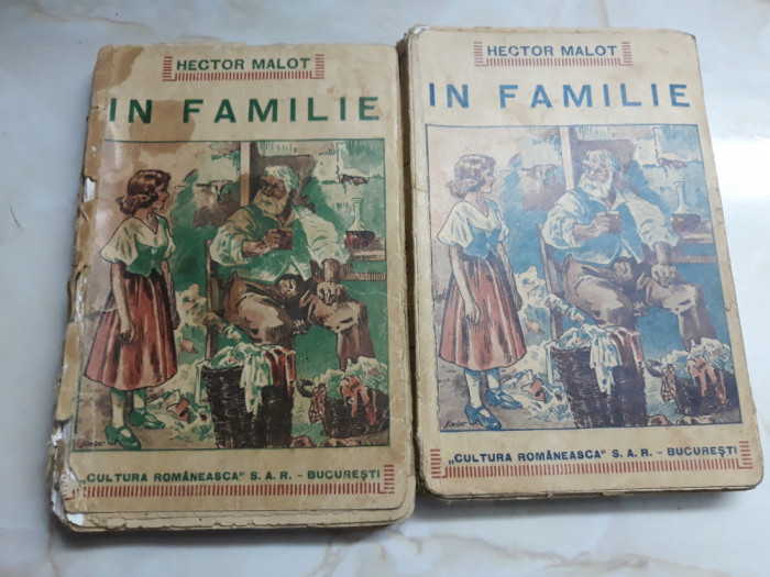 In familie - Hector Malot 2 volume