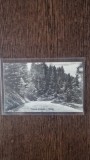 Carte Postala - Saliste. Piciorul Crintului