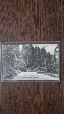 Carte Postala - Saliste. Piciorul Crintului foto