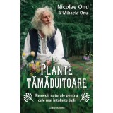 Plante tămăduitoare
