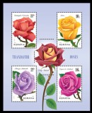 2022 - Trandafiri, bloc neuzat