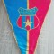D9 M5 4 - fanion - cluburi sportive - sporturi de iarna - AS Armata - Brasov