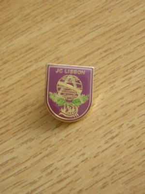 QW9 N 55 - insigna - militar - NATO - misiune mentinerea pacii foto