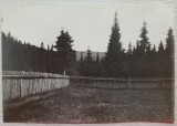Peisaj din Carpatii Orientali,, ograda zona Bicaz// Foto Tr. Zaharie 1926
