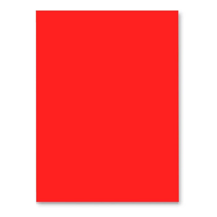 Cartoncino Favini Prisma 220 - Avorio, Formato 50x70 Cm, Confezione Da 20 Fogli - Foto 2