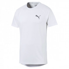 Tricou Puma EVOSTRIPE TEE foto