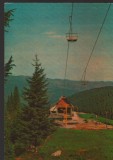 CPIB 25106 CARTE POSTALA - PALTINIS. STATIA DE TELEFERIC, NECIRCULATA