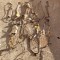lot 20 de panglici LVS / display - diverse modele -