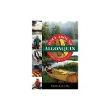 Once Around Algonquin: An Epic Canoe Journey