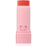Astra Make-up IDENTISTICK blush cremos stick 01 - Peach Persona 1 buc