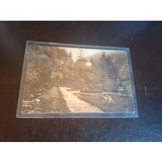Carte postala alb negru , Slanic Moldova , vedere spre izvorul nr.1 - circulata