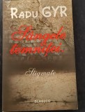 S&acirc;ngele temniței. Stigmate de Radu GYR Editura Blassco, 2016