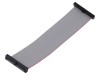 Cablu panglică SAMTEC IDC 20 pini 114,3mm FFSD-20-D-04.50-01-N