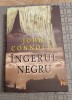 Ingerul negru John Connolly