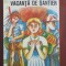 Vacanta de santier N Ionescu-Dunareanu