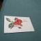 CARTE POSTALA FELICITARE CIRCULATA