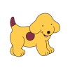 All about Spot