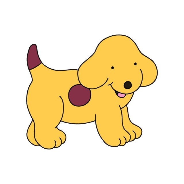 All about Spot
