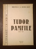 Constanța Bădic - Tudor Pamfile (1883-1921) - biobibliografie